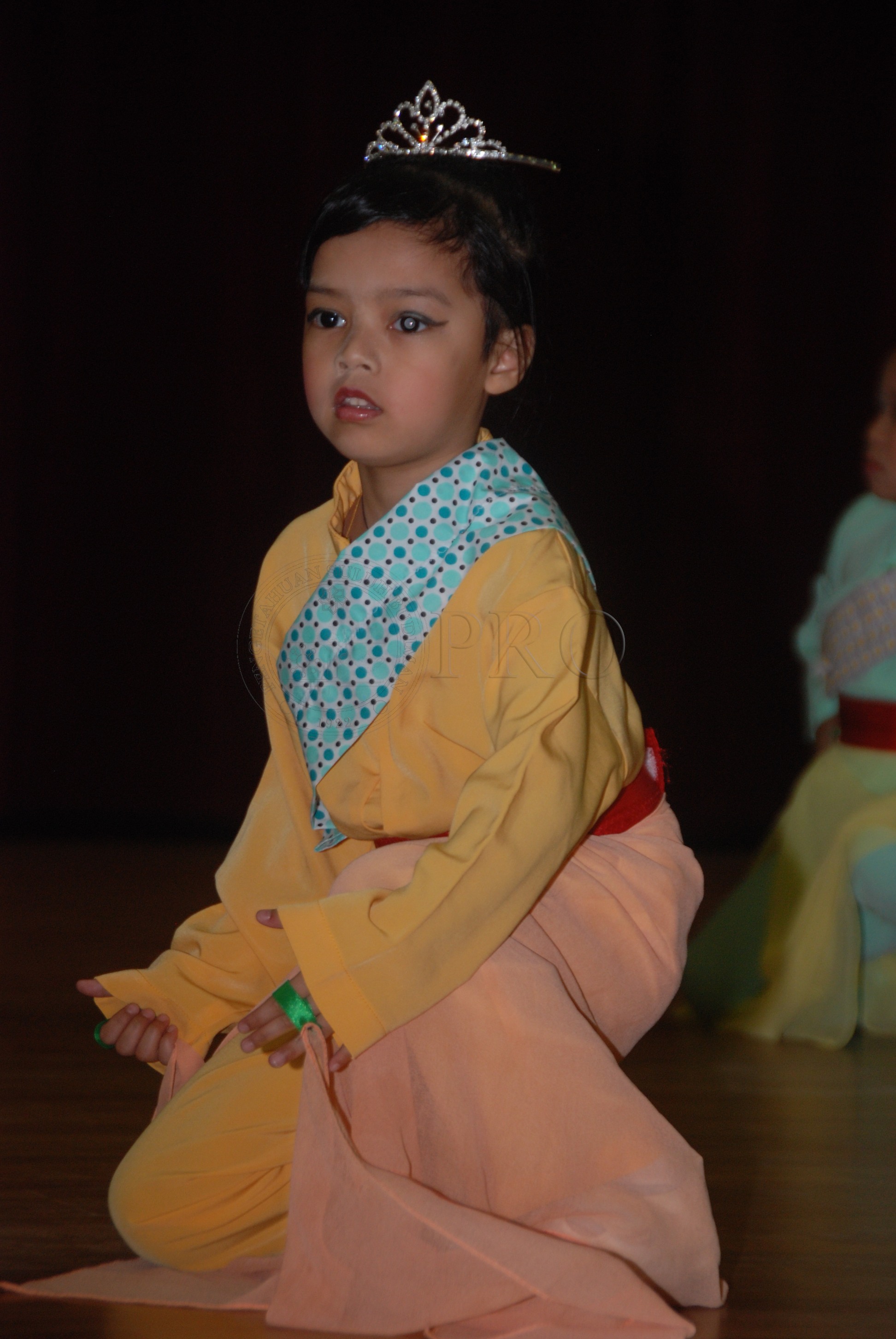 PRO 12 126 pkkk DSC 7474